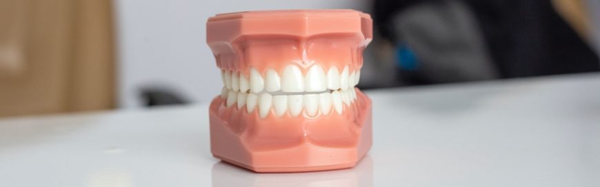 Анатомия зубов: о чем важно знать