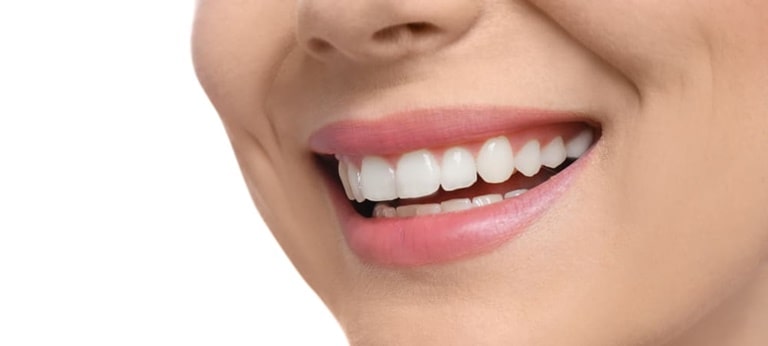 Зубы и их функции