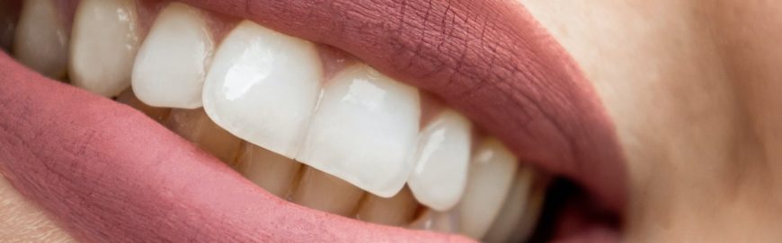 Основные виды зубов и их функции